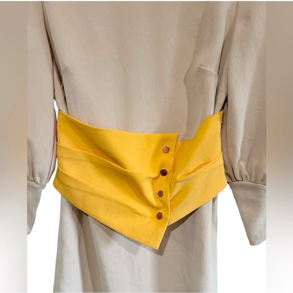 Tibi Shirred Sleeve Corset Waist Shift Dress Tan and Yellow - Picture 5 of 11